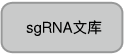 sgRNA文库
