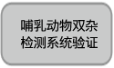 哺乳动物双杂