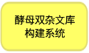 酵母双杂文库构建系统
